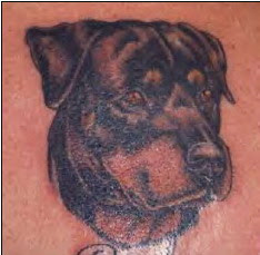 animal tattoos design
