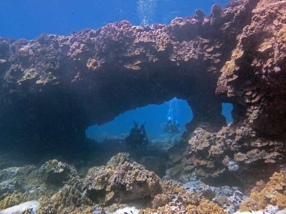 A Kona Hawaii Scuba Diver blabbers on Awesome Kona diving today... 2