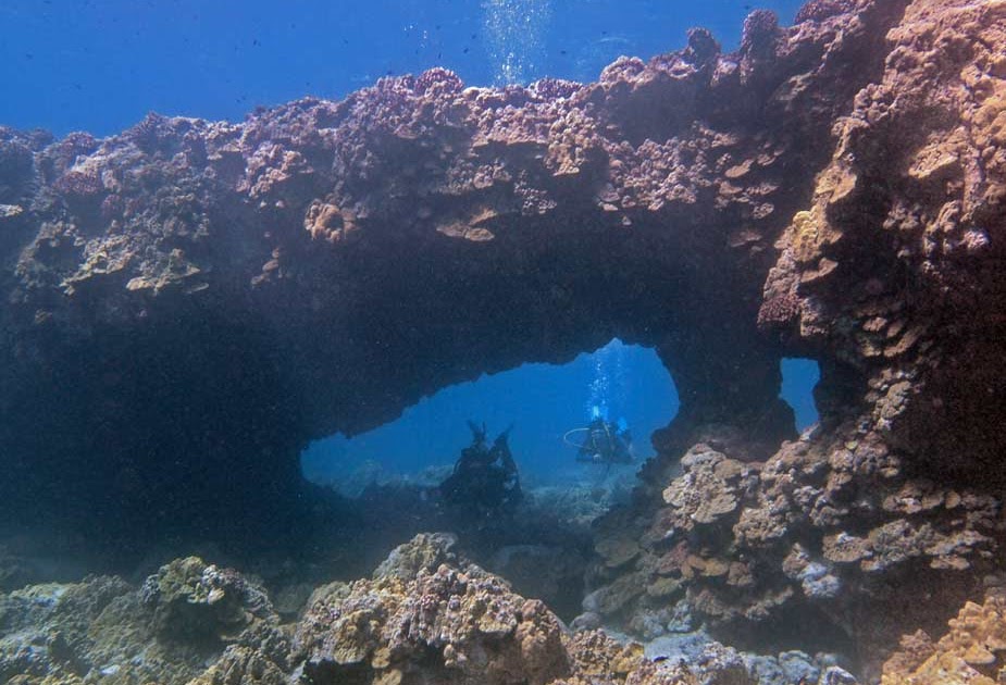 A Kona Hawaii Scuba Diver blabbers on Awesome Kona diving today... 2