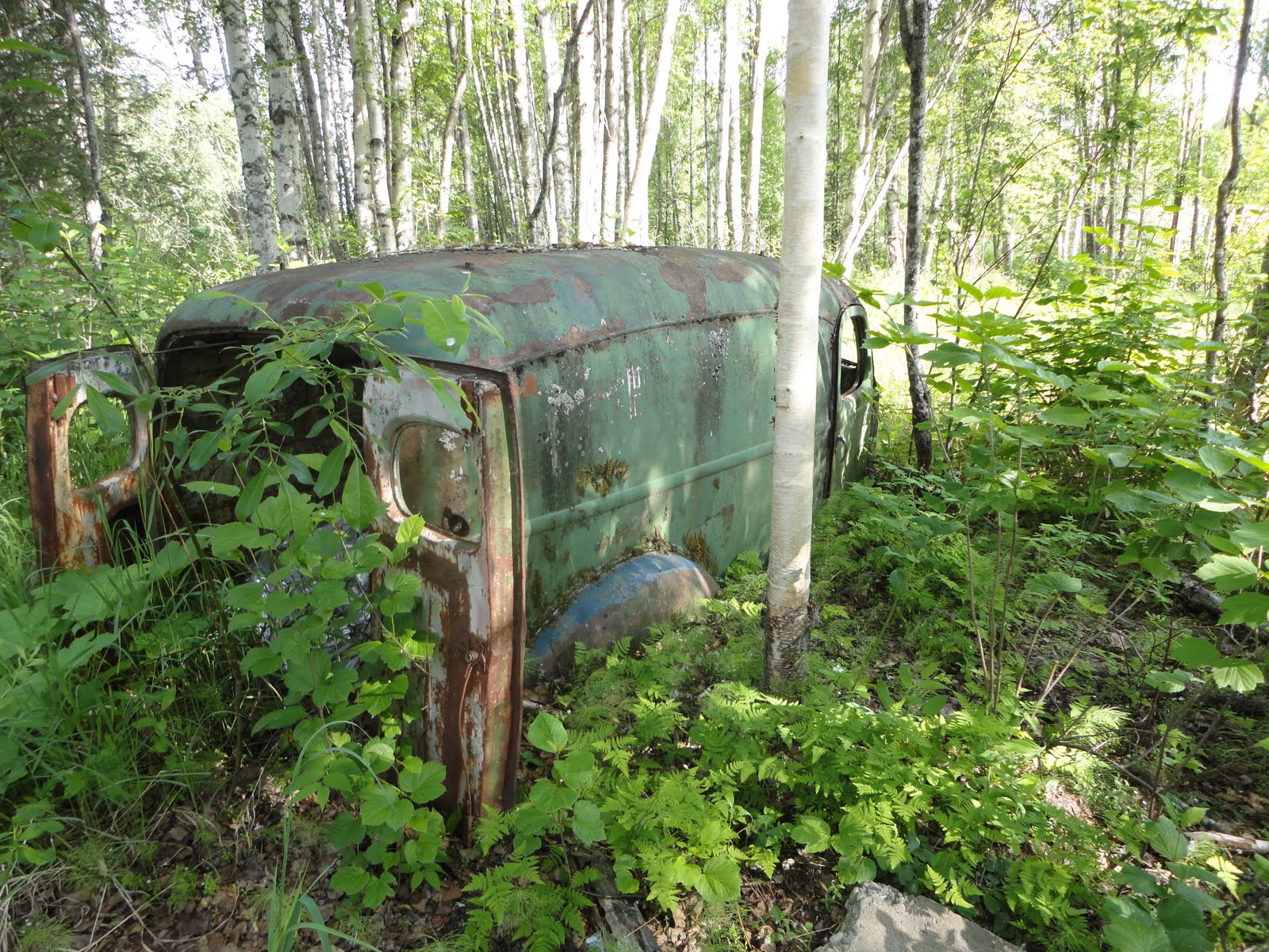 The Alaskan Triangle Trapper Johns Cabin Talkeetna