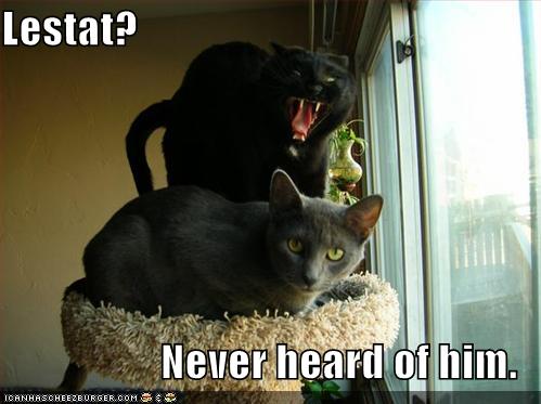 [lestat-cat-goes-for-bite.jpg]
