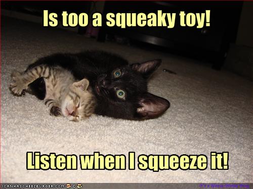 [LOLsqueaky_bits.jpg]