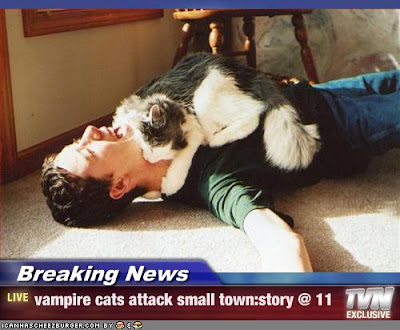 attack, Breaking, Breaking News, cat, funny, News, TVN, vampire, vampire cat attack, vampirecatattack.jpg