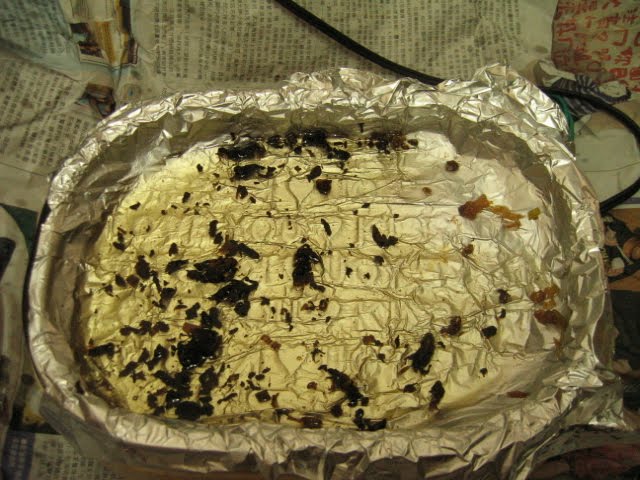 [炸餛飩120091029.JPG]