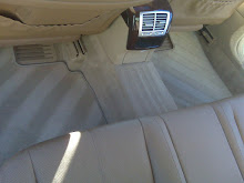 CARPET UPHOLSTERY LEATHER