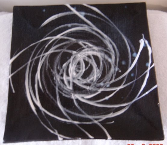 [DSC00025.JPG]