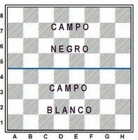 O básico sobre xadrez - O Pantaneiro