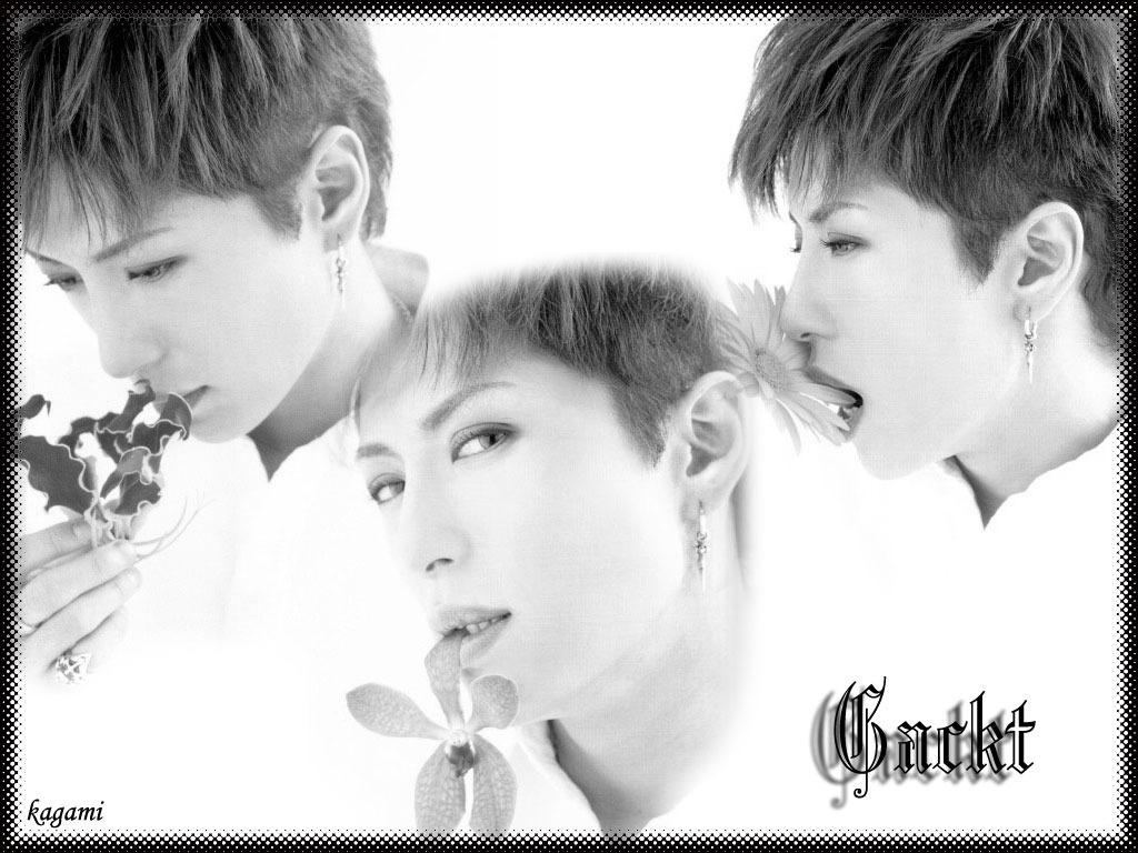 [wall_06kagami_gackt002.jpg]