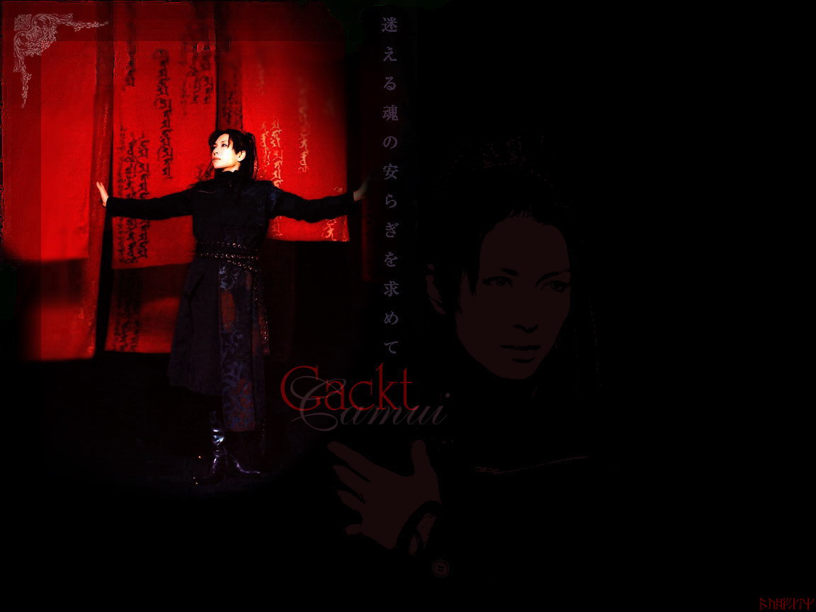 [wall_08maeglin_gackt001.jpg]