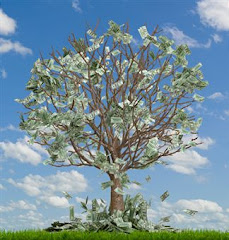 Start growing your "money tree."