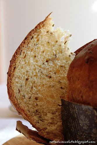 [schiaccia+di+pasqua+2.jpg]