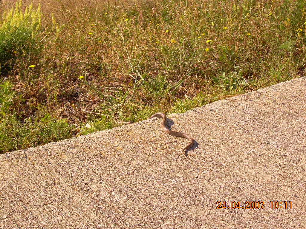 [DSCN1292.JPG]