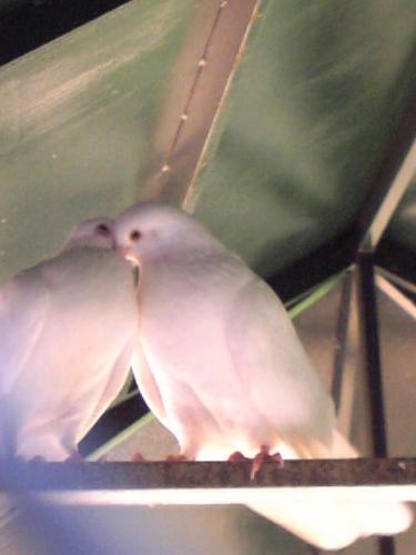 [assim_começa_JPJunior.JPG]