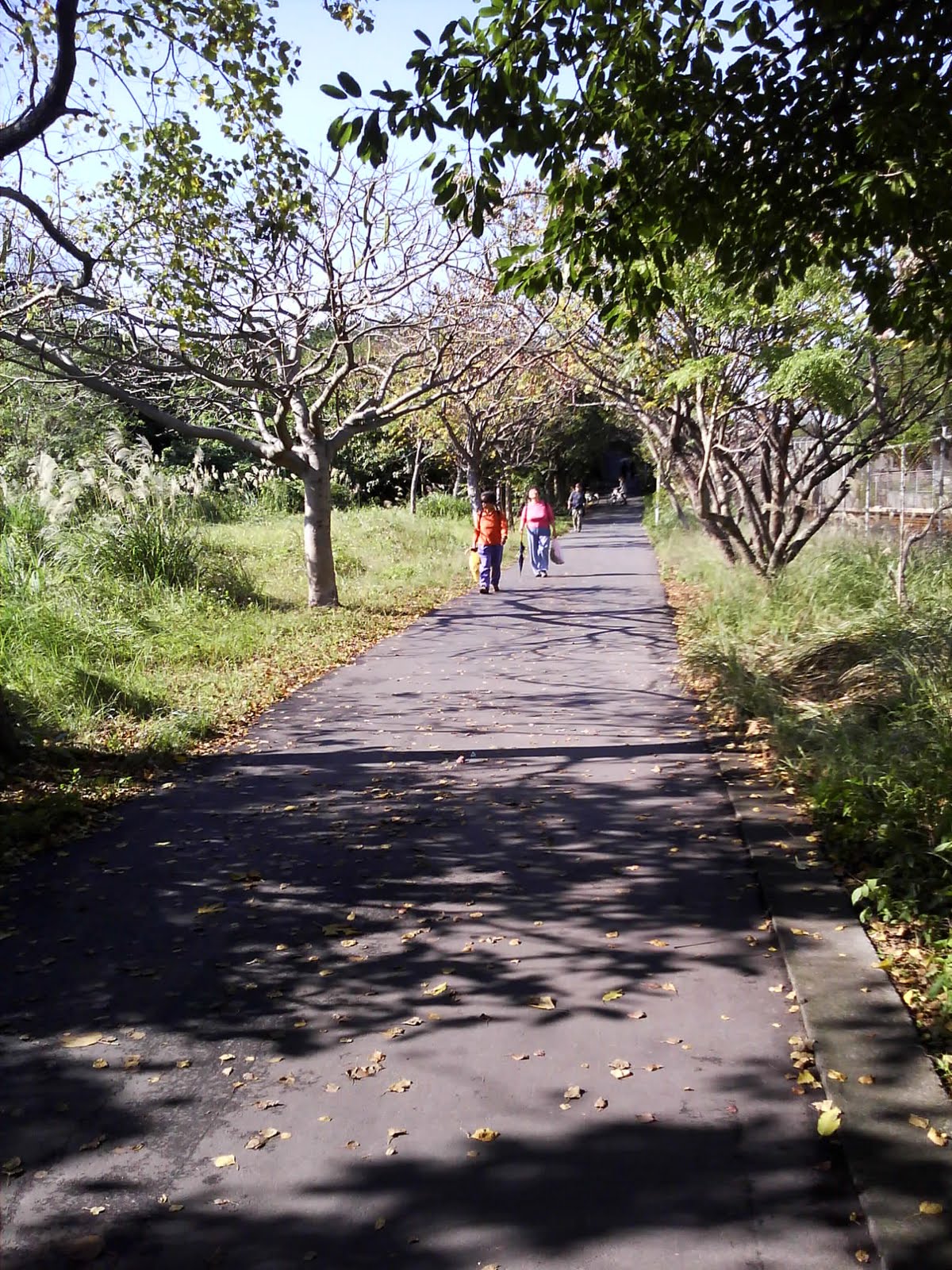 [Camera_20100109_140125.jpg]