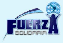www.fuerzasolidaria.com
