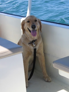 Scout onboard a boat! Scout onboard a boat!