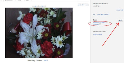 how to use tags to label photos in picasa web albums