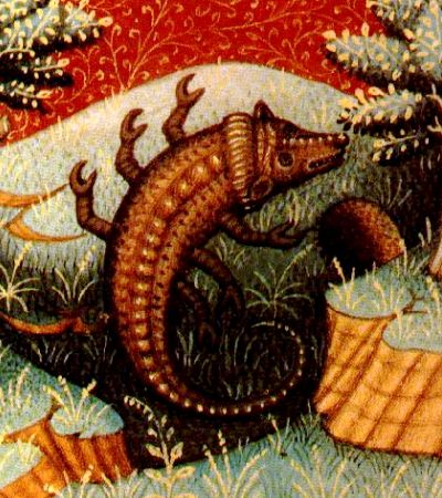 [Scorpio2.jpg]