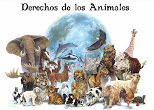 DERECHOS DE LOS ANIMALES