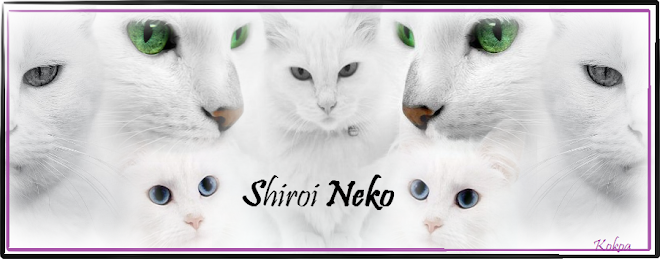Shiroi Neko