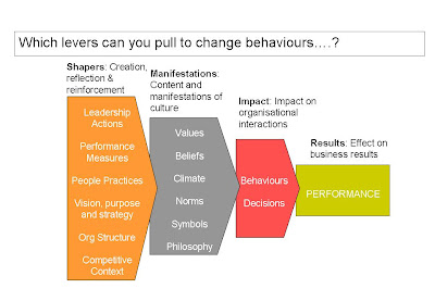 Culture Model
