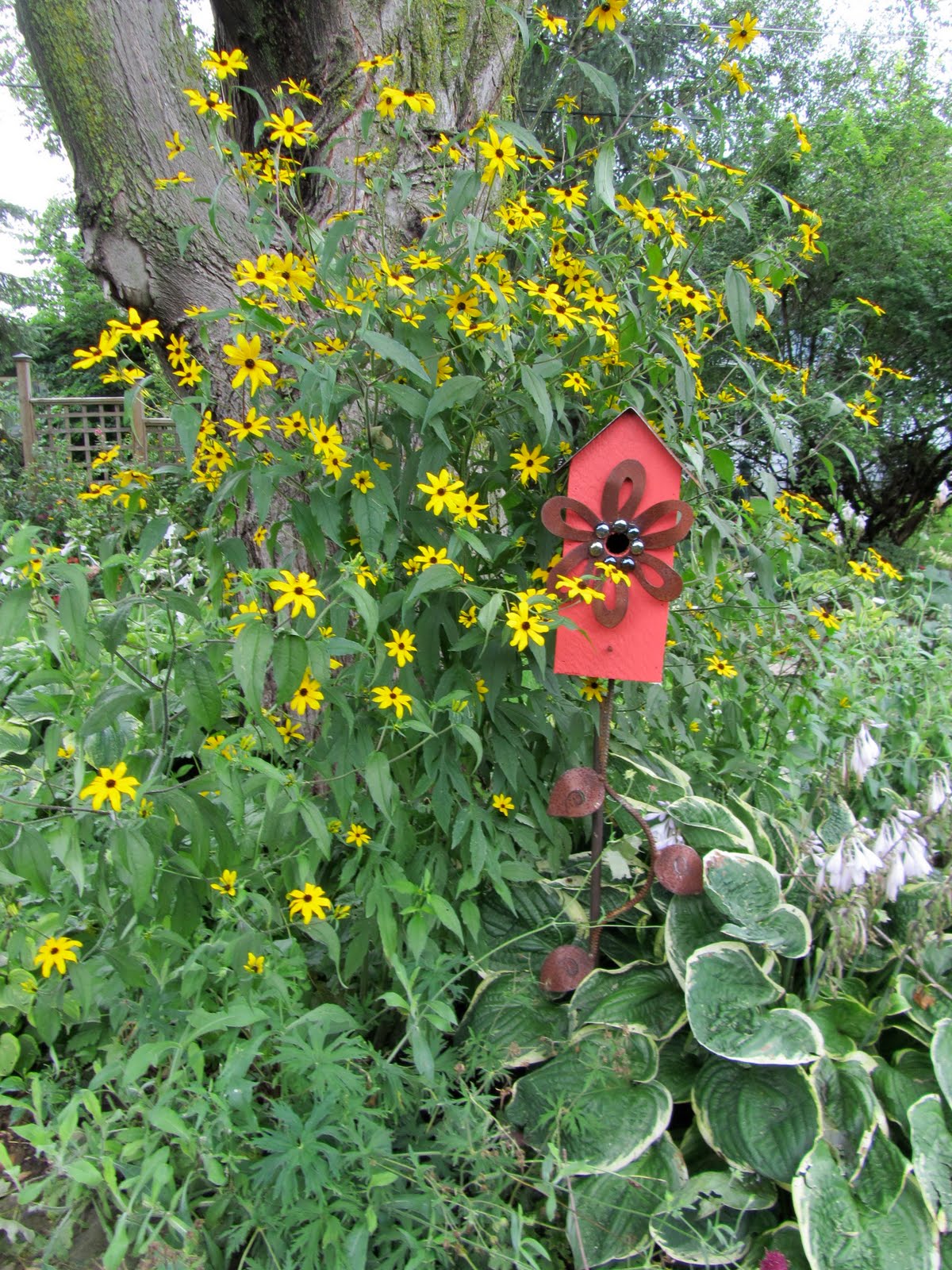 Cheesehead Gardening Fall Blooming Plants Early This Year