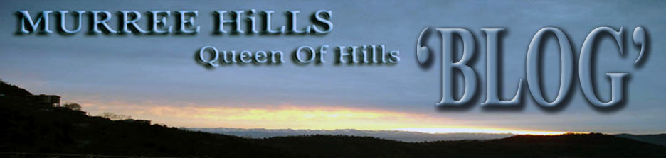 .::MURREE HiLLs BLOG::. Its All About MurreeHills!