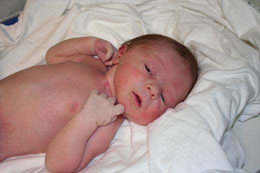 [tom_in_incubator.JPG]