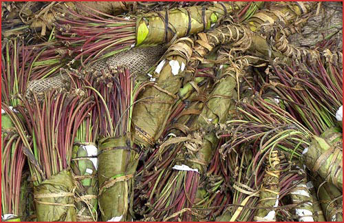 http://4.bp.blogspot.com/_9M9yKRI9XVw/TUBdz8YDt9I/AAAAAAAABNo/58zjnijKrdU/s1600/khat.jpg