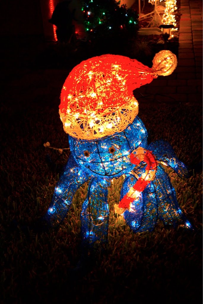 christmas lights in florida santa flamingo seoul eats christmas lights in florida santa flamingo seoul eats