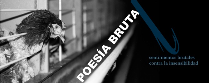 Poesía Brutal