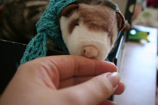 Gleich ist die Hand ab... Nein, nur Spass - das Wiesel schnuppert halt gerne