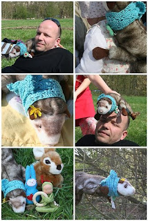 Das Wiesel hat es drauf: Es spürt überall Osterhasen auf. Auch auf der Peißnitz.
