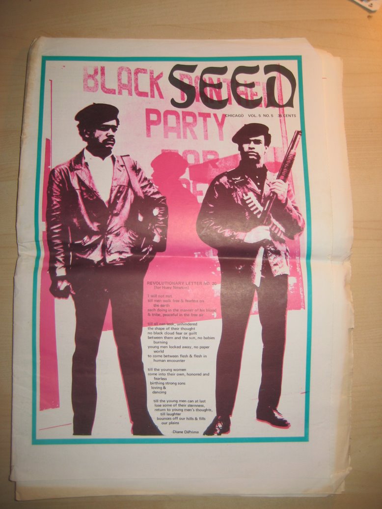 [Seed_V5no5.jpg]