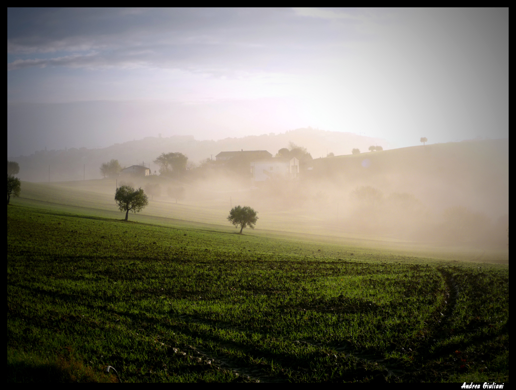 Racconti in luce: novembre 2010