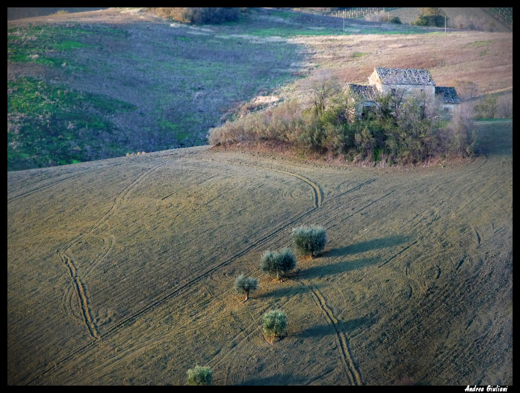 Racconti in luce: ostra e le sue campagne: l'infinito
