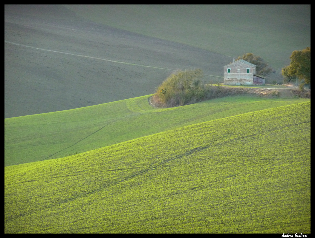 Racconti in luce: novembre 2010