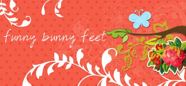 Funny     Bunny      Feet