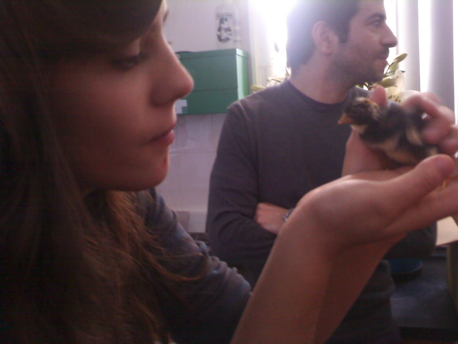 [091211_152948.jpg]