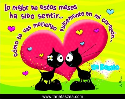 HOY AMOR HOY AMOR hoy amor hoy amor: