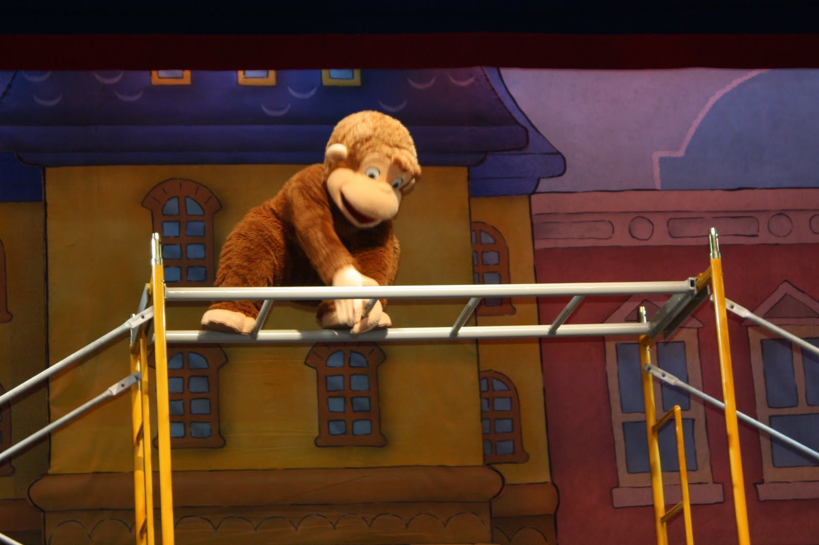 LITTLE MISS McDERMOTT: Curious George Live