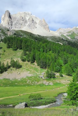 [DSC_0235.JPG]