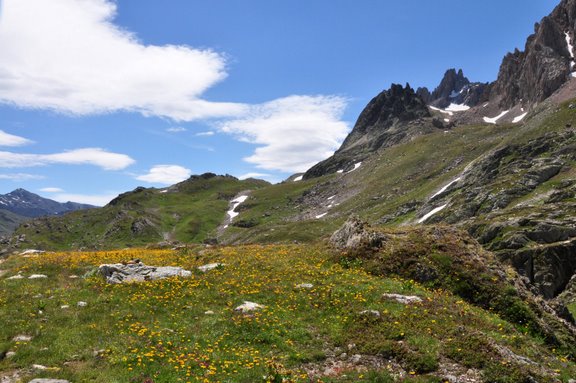 [DSC_0151.JPG]