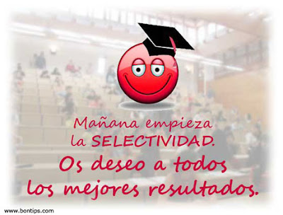 Best Wishes for Selectividad Best Wishes for Selectividad