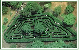 Hampton Court Maze