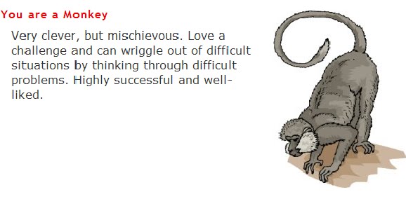[monkey.bmp]