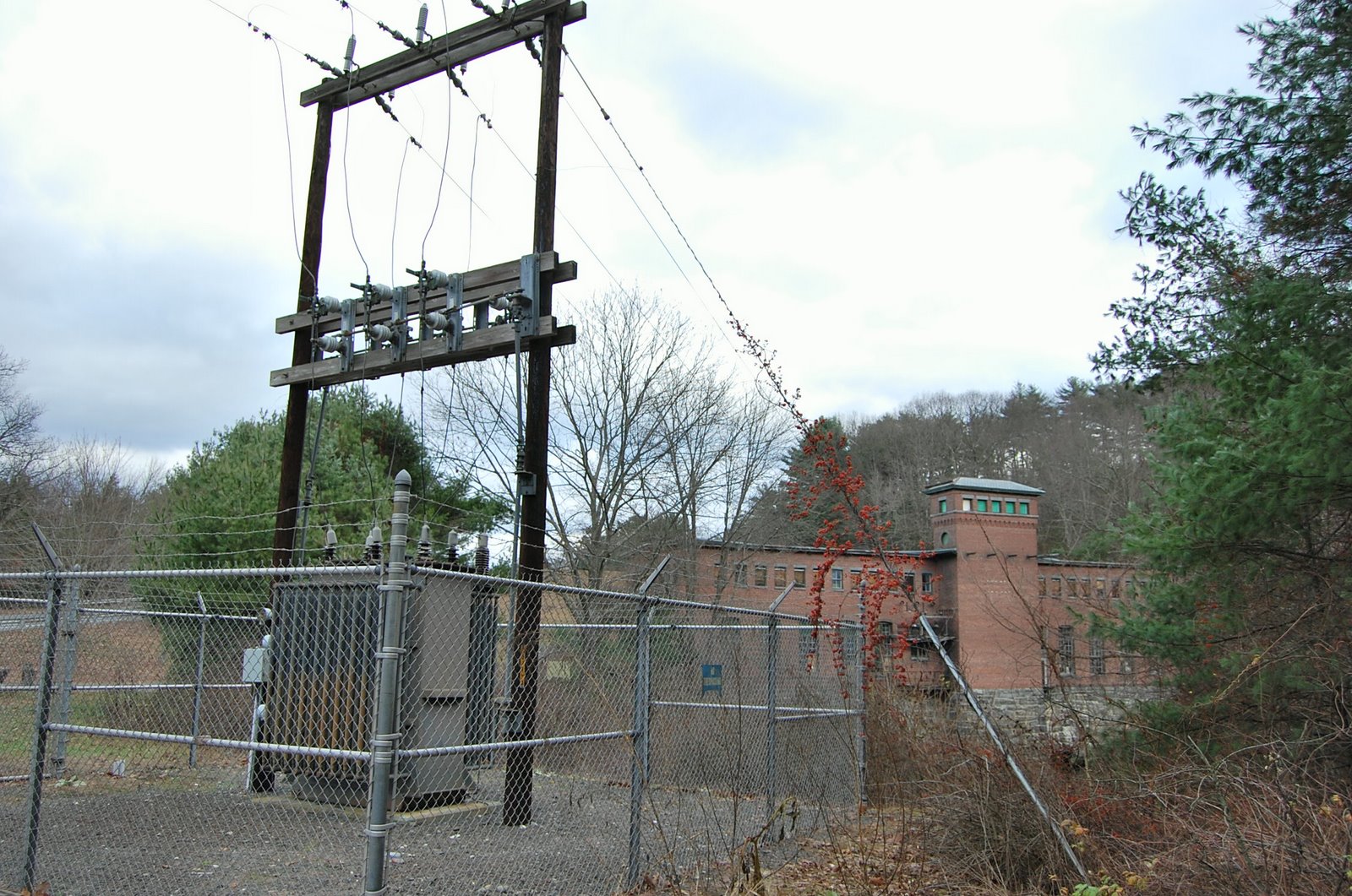 [CSC_0308.JPG]