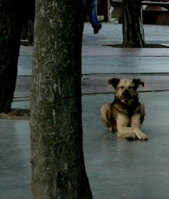 n1160147828 30033438 9896