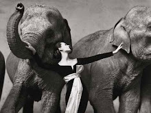 Richard Avedon: Dovima con elefantes