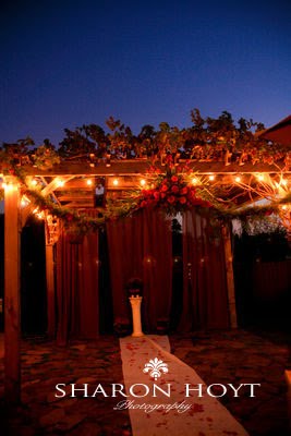 [13.jpg]